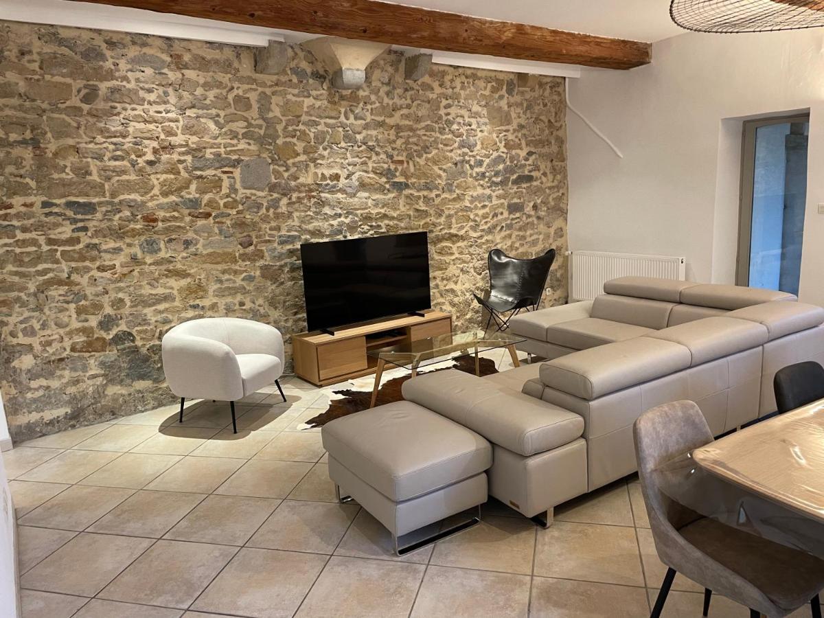 Beau Duplex Avec Jardin Et Vue Apartment Lyon Bagian luar foto