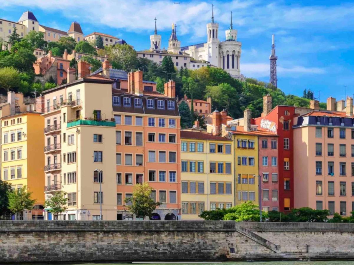 Beau Duplex Avec Jardin Et Vue Apartment Lyon Bagian luar foto